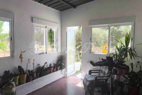 Landejendom i Yecla, Murcia, Yecla - € 225.000 | Ref: SF0527 - foto 5
